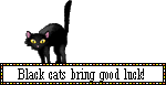 black cats bring good luck