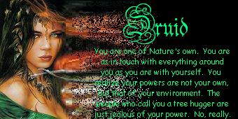 quiz result, druid. you are one of nature's own. you are as in touch with everything around you as you are with yourself. you realise your powers are not your own, but that of your environment. the people who call you a tree hugger are just jealous of your power. no, really.