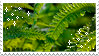 fern stamp
